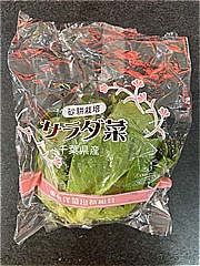  サラダ菜 1袋 (JAN: 0000000000215)