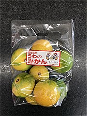 愛媛県産 宇和みかん １袋(JAN: 0202106800007)