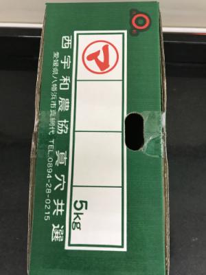 愛媛県産 真穴みかん　Ｍ ５Ｋｇ入　１箱(JAN: 0220601100002)-3