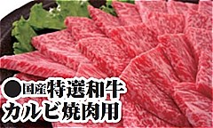 国産 特選和牛カルビ焼肉用 ５００ｇ(JAN: 0230250600006)