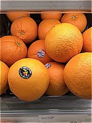  オレンジ １個 (JAN: 444)