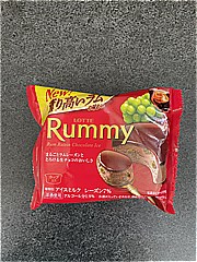 ロッテ ラミーチョコアイス １００ｍｌ(JAN: 45206061)