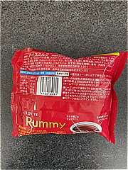 ロッテ ラミーチョコアイス １００ｍｌ(JAN: 45206061)-1