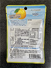 カネカ食品 湘南ゴールドグミ　ラブレ乳酸菌入 40ｇ (JAN: 4582465580557 1)