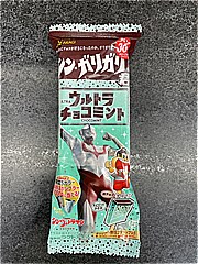 赤城乳業 ガリガリ君ウルトラチョコミント １００ｍｌ(JAN: 4901170020521)