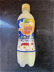 アサヒ飲料 カルピスソーダグレープフルーツ ５００ｍｌ(JAN: 4901340062542)