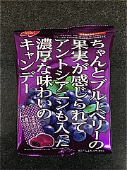 ノーベル製菓 ブルベリーキャンデー 72ｇ (JAN: 4902124681935)