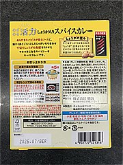 明治 めざめる活力しょうが入りスパイスカレー １８０ｇ(JAN: 4902777321318)-2