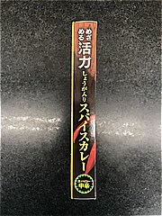 明治 めざめる活力しょうが入りスパイスカレー １８０ｇ(JAN: 4902777321318)-4