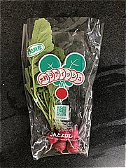 愛知県経済農業協同組合連合会 ラディッシュ １袋 (JAN: 4908440502602)