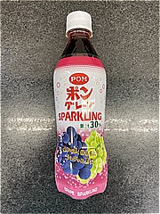 えひめ飲料 ＰＯＭ　グレープスパークリング ４９０ｍｌ(JAN: 4908729108792)