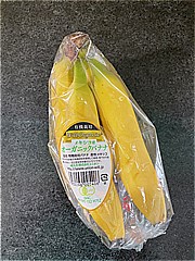 ユニオン メキシコ産オーガニックバナナ １袋 (JAN: 4932296005406)