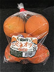 ユニオン ミネオラオレンジ １袋 (JAN: 4932296008766)