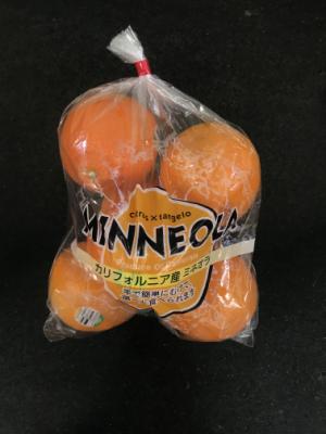ユニオン ミネオラオレンジ １袋 (JAN: 4932296810086)