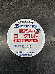 わたなべ牧場 自家製ﾖｰｸﾞﾙﾄ 100g (JAN: 4956471010016)