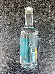 友桝飲料 １０３テンザンサイダー２５０ｍｌ ２５０ｍｌ(JAN: 4964621190075)-1