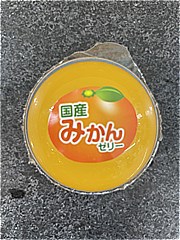 マルシン 国産　みかんゼリー ９０Ｇ(JAN: 4978568656501)