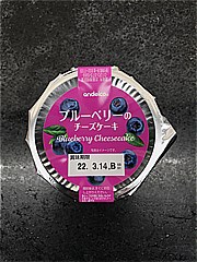 アンド栄光 ブルーベリーのチーズケーキ １個(JAN: 49891737)