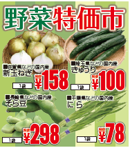 野菜特価市-0(2019-04-25~2019-04-27)